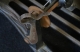 Doc : Lyre - Puck